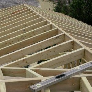 Structural Timber 1